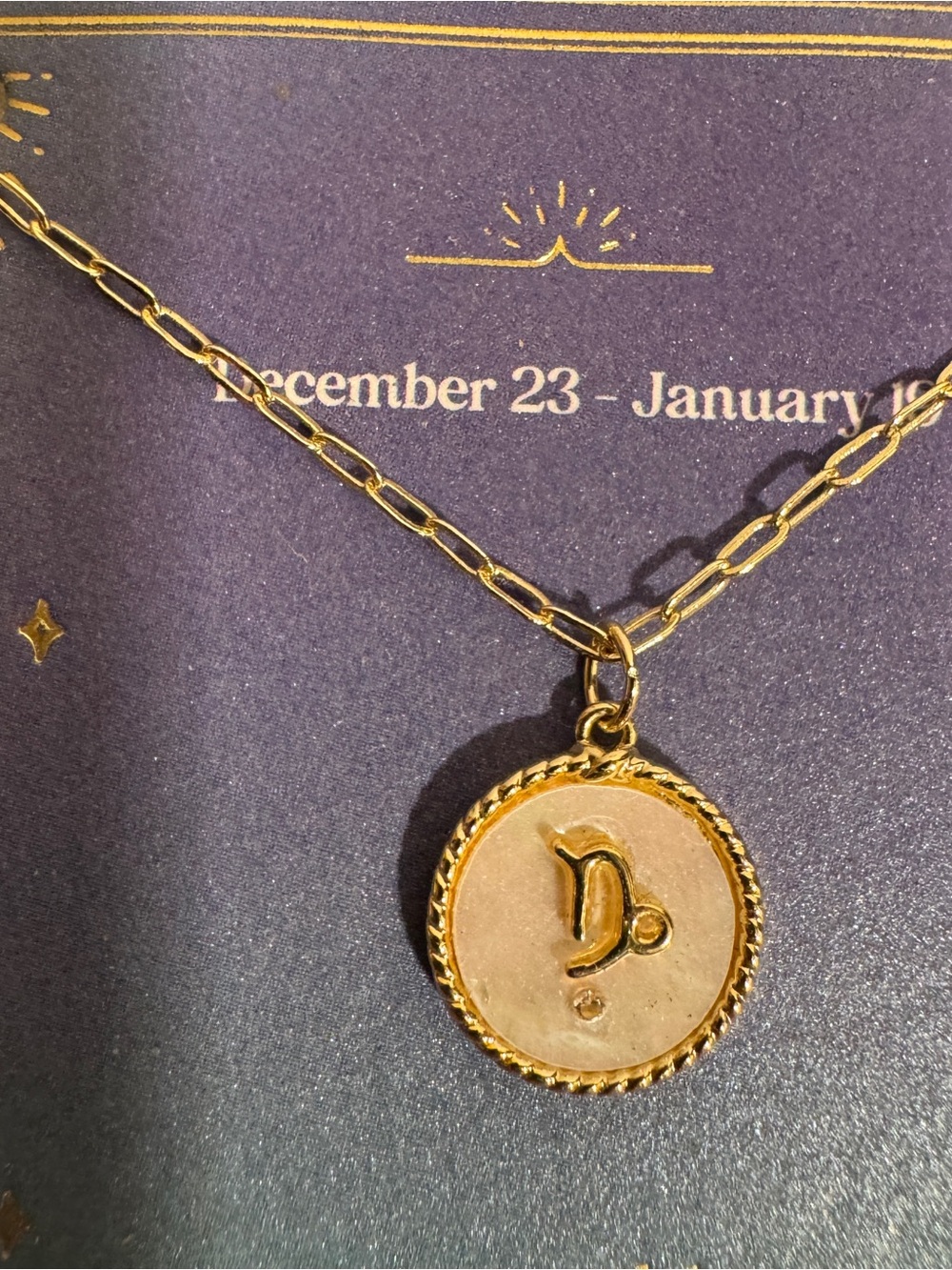 Target 14K Gold Dipped Capricorn Zodiac Pendant NWT Mother of Pearl Accent